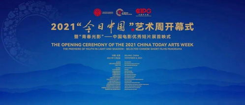 你好青春 | 11月9日文藝資訊與文化藝術(shù)交流活動策劃