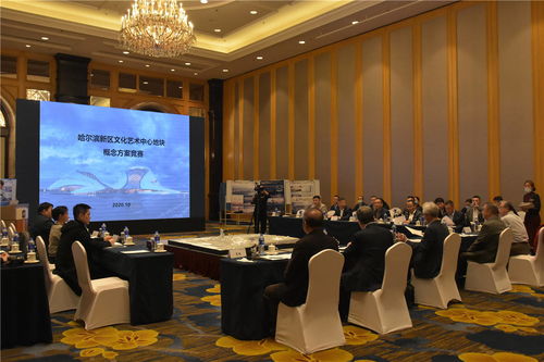 哈爾濱新區(qū)文化藝術(shù)中心項目建設(shè)邁出重要步伐 規(guī)劃設(shè)計招標圓滿完成，文化藝術(shù)交流活動蓄勢待發(fā)